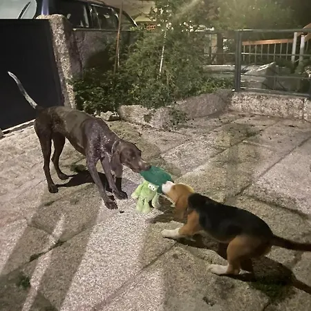 Cabrilhome - Al Gerês Chalet