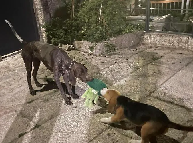 Cabrilhome - Al Geres Chalet